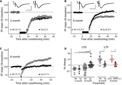 mGluR-dependent plasticity in rodent models of Alzheimer’s disease